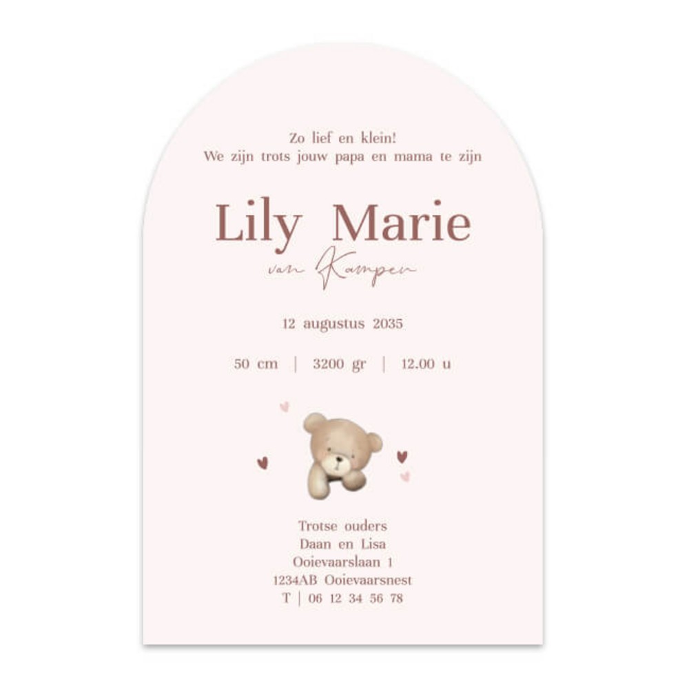 Achterkant van geboortekaartje Lily