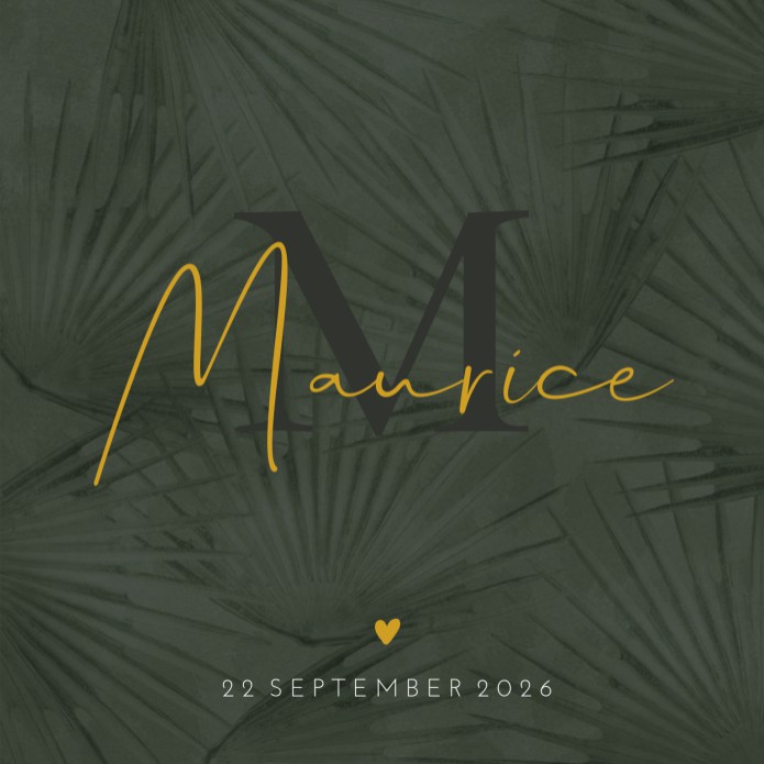 Geboortekaartje jongen groen waaiers Maurice