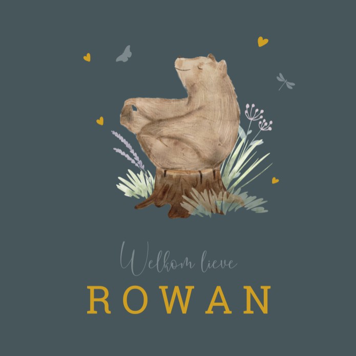 Geboortekaartje jongen beer goudfolie Rowan voor