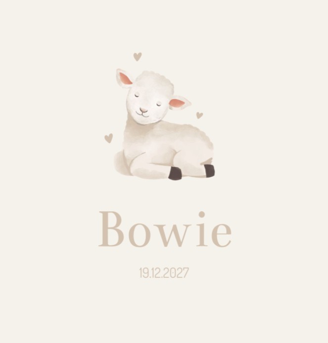 Geboortekaartje meisje lammetje Bowie