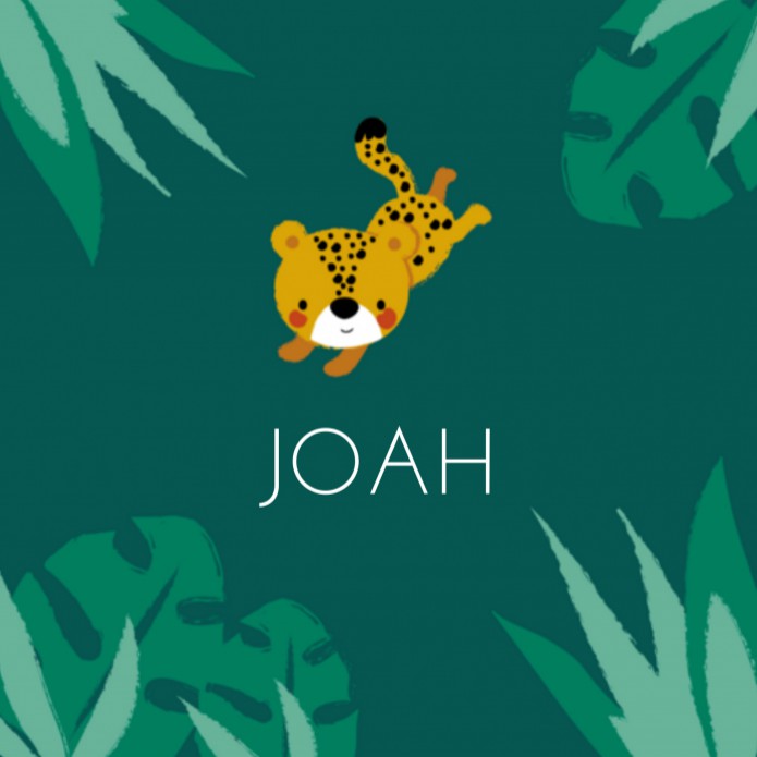 Geboortekaartje cheetah groen Joah