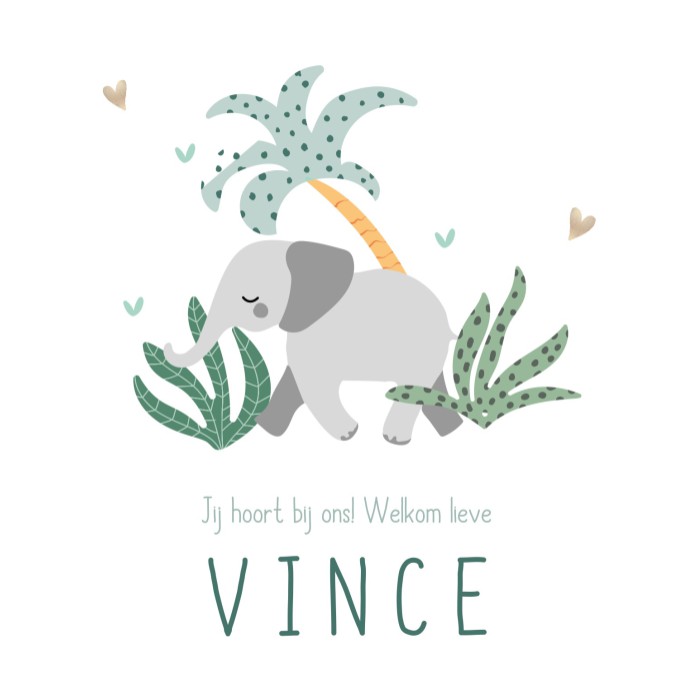 Geboortekaartje jongen olifant Vince voor