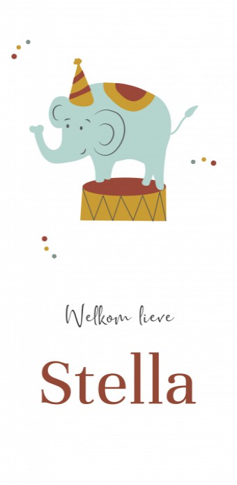 Geboortekaartje Prénatal olifant circus Stella voor