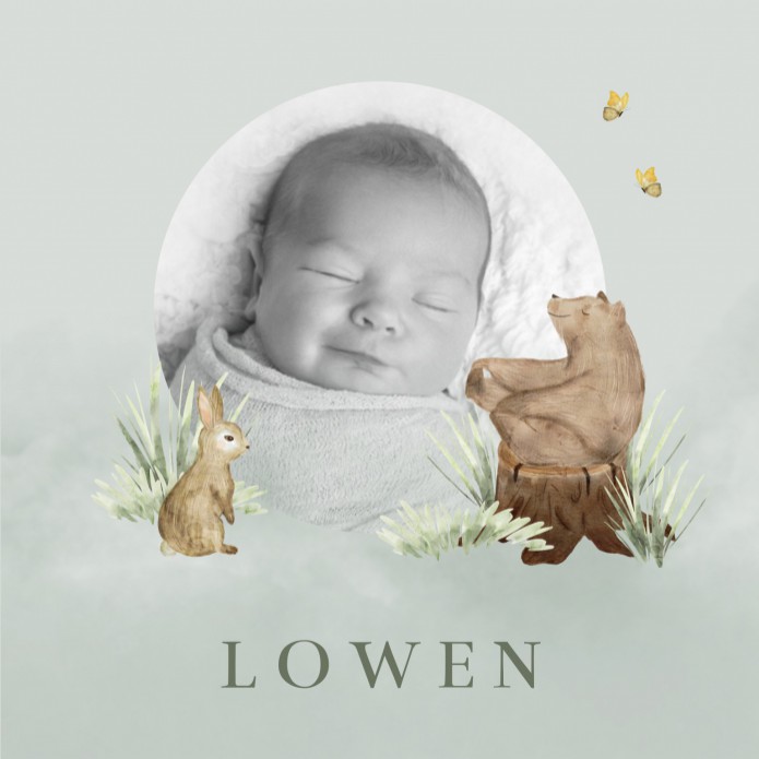 Geboortekaartje jongen foto beer en konijn groen Lowen voor