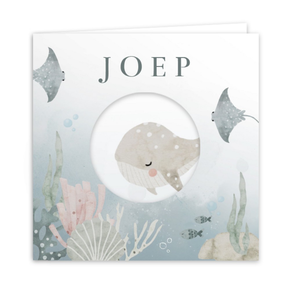 Geboortekaartje zoon uitsnede oceaan Joep