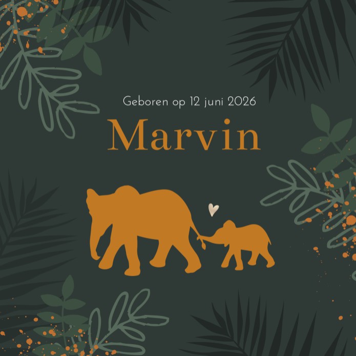 Geboortekaartje jongen olifant Marvin voor