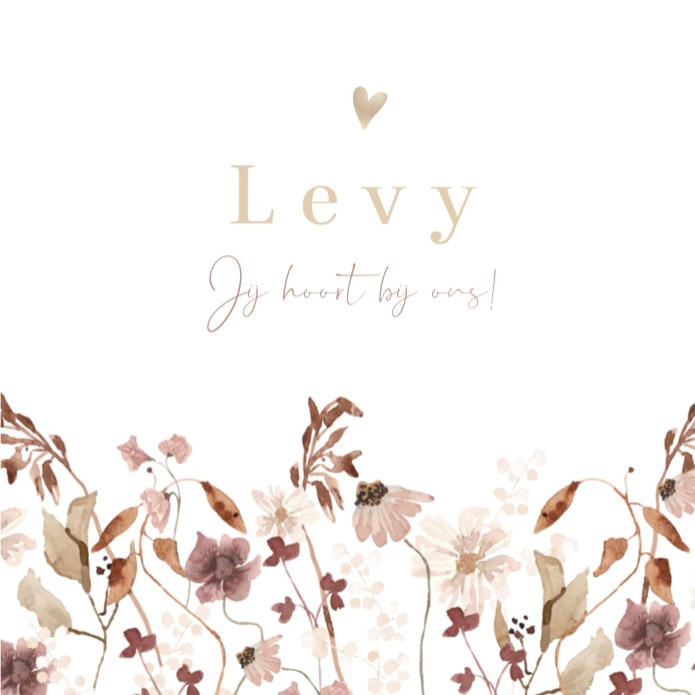 Geboortekaartje meisje droogbloemen wit Levy