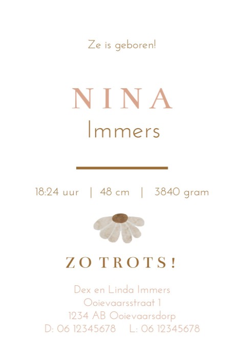Geboortekaartje meisje minimalistisch mobiel Nina