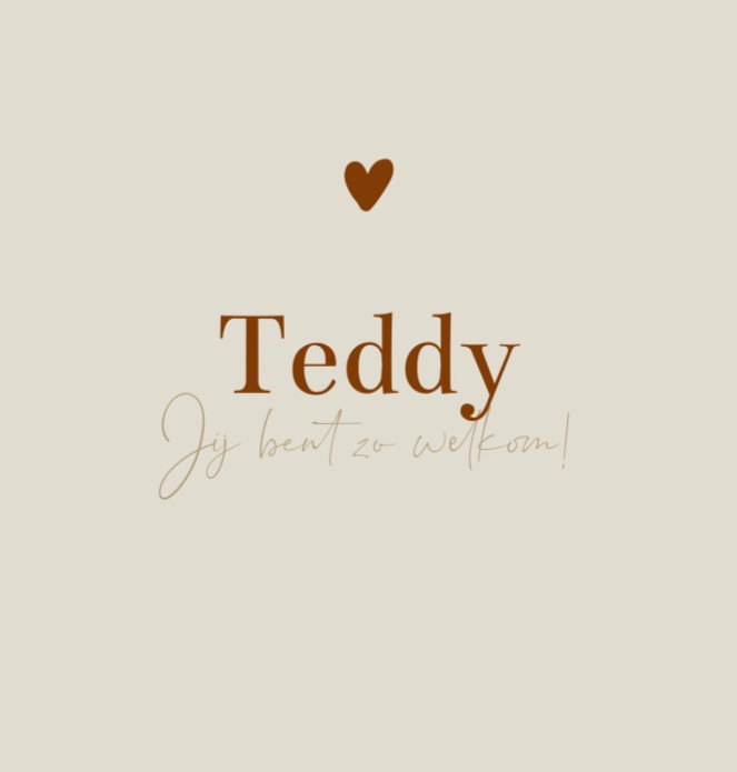 Geboortekaartje meisje minimalistisch Teddy
