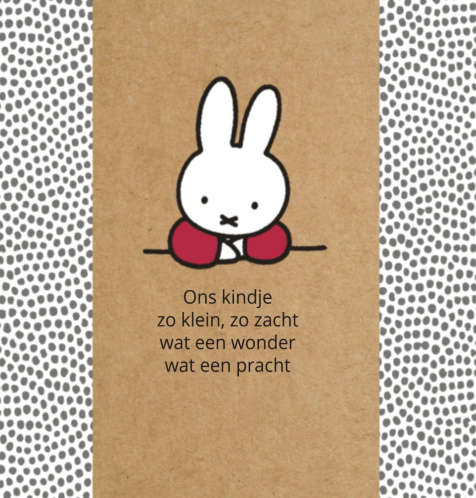 kaart binnenzijde links