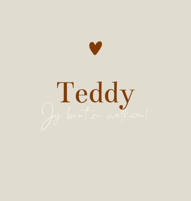 Geboortekaartje meisje knuffelbeer strik Teddy