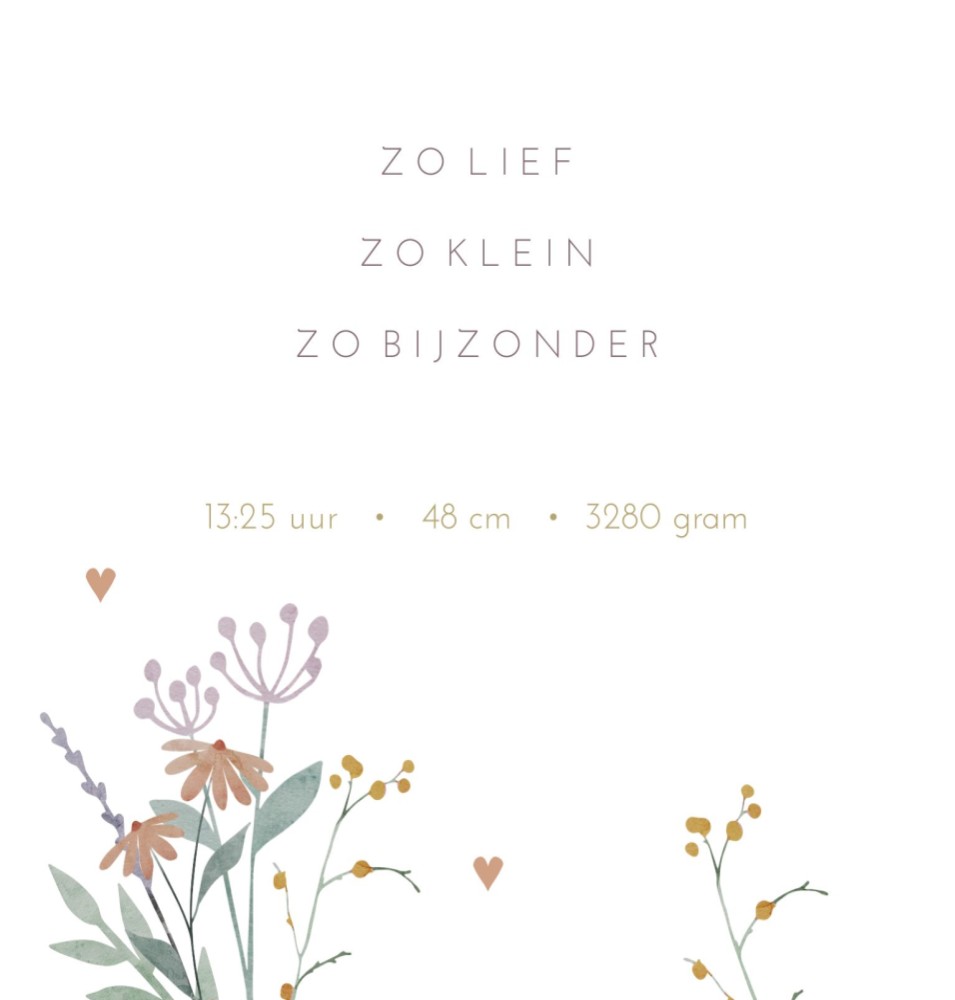 kaart binnenzijde links