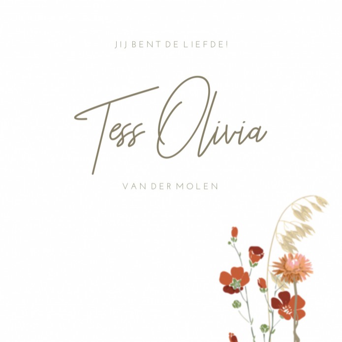 Geboortekaartje droogbloemen Tess Olivia