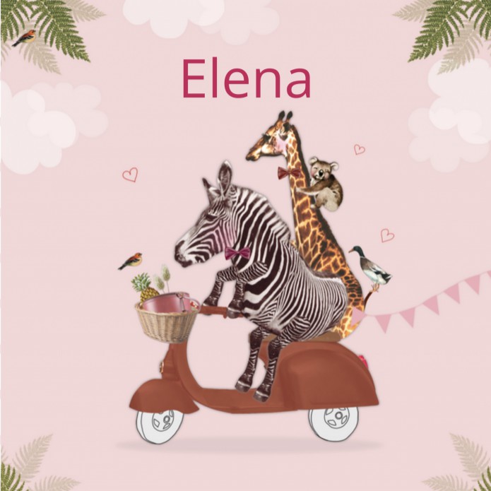 Geboortekaartje Giraf en Zebra op scooter Elena