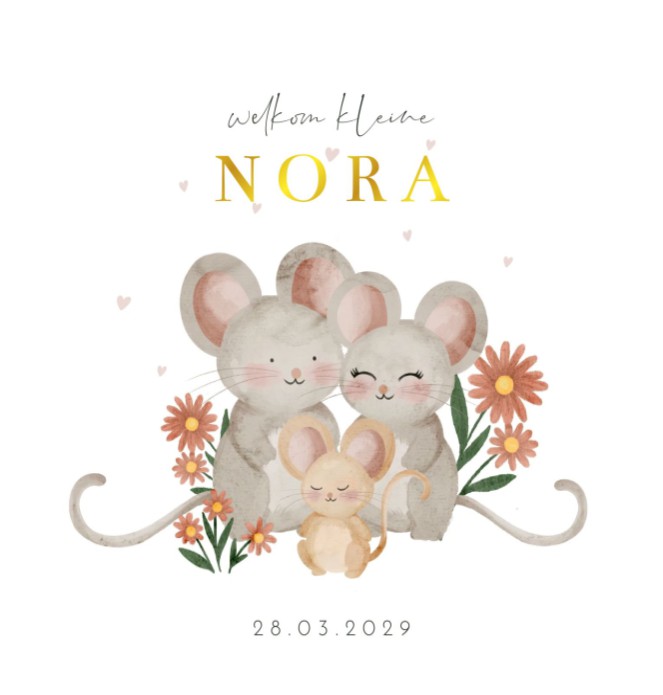 Geboortekaartje meisje familie muisjes Nora