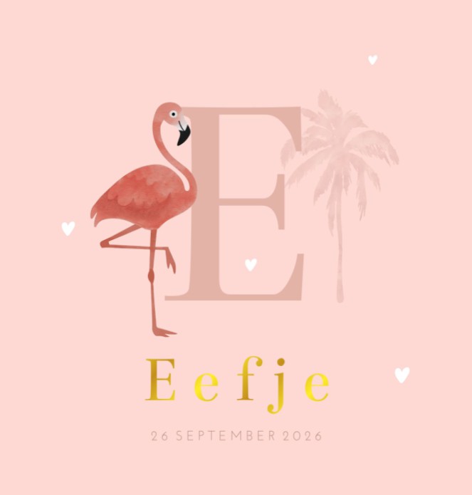 Geboortekaartje meisje roze flamingo Eefje