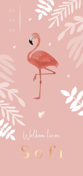 Geboortekaartje meisje flamingo roze Sofi