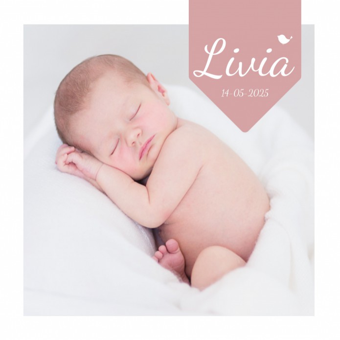Geboortekaartje meisje foto Livia