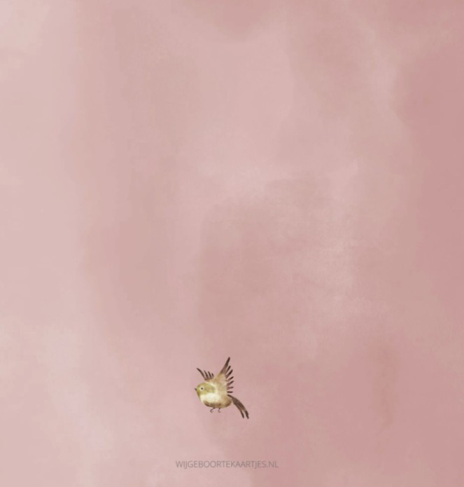 Geboortekaartje meisje beer roze aquarel Jacky