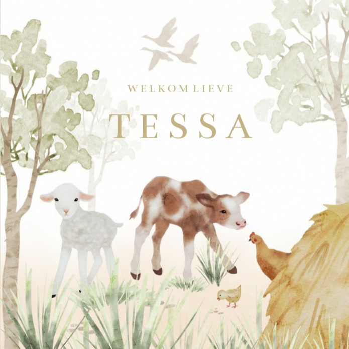 Geboortekaartje boerderij dieren aquarel Tessa voor