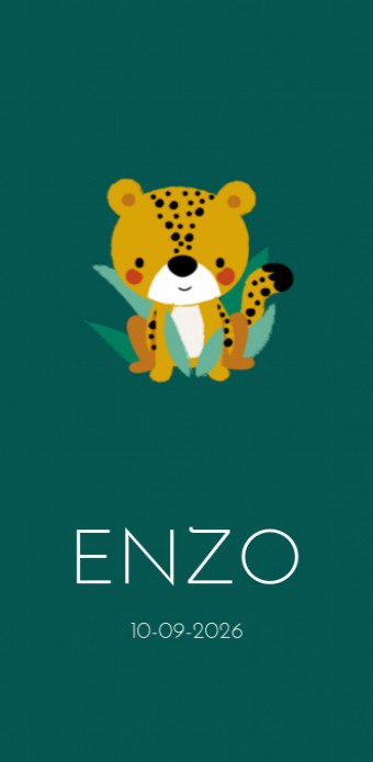 Geboortekaartje cheetah groen Enzo