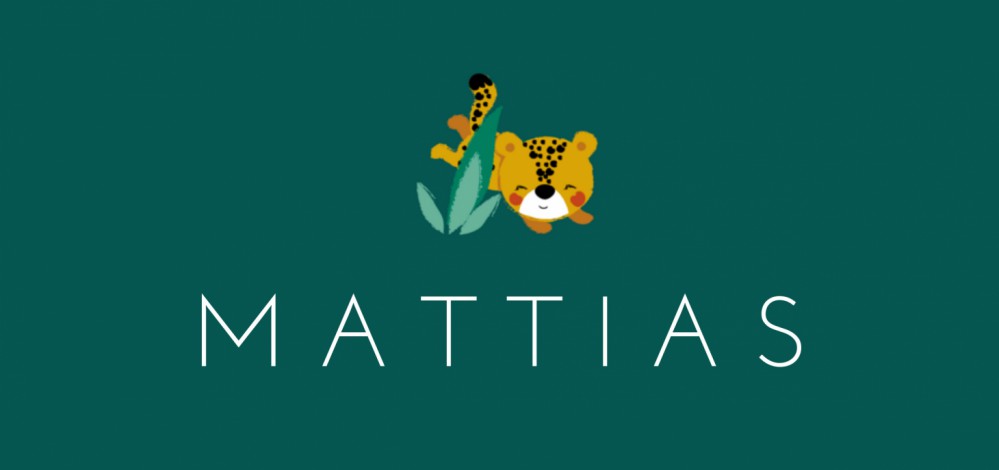 Geboortekaartje cheetah groen Mattias