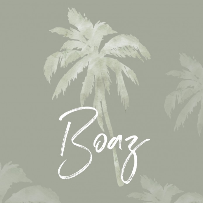 Geboortekaartje groene palmboom Boaz voor
