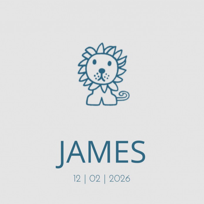 Geboortekaartje nijntje leeuw James
