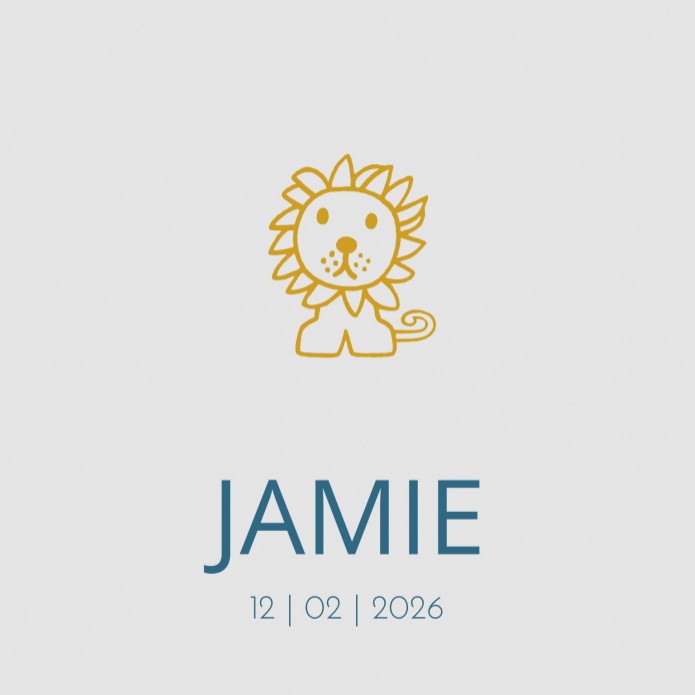 Geboortekaartje nijntje leeuw Jamie