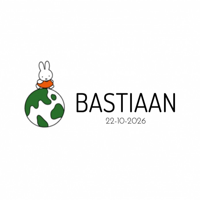 Geboortekaartje nijntje met wereldbol Bastiaan