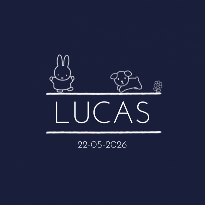Geboortekaartje nijntje minimalistisch blauw Lucas