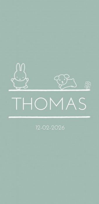 Geboortekaartje nijntje minimalistisch groen Thomas
