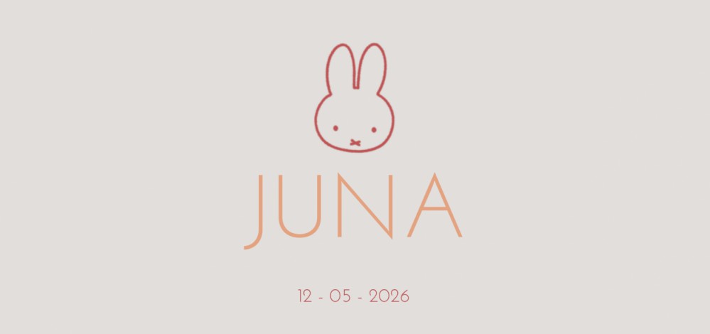 Geboortekaartje nijntje minimalistisch Juna