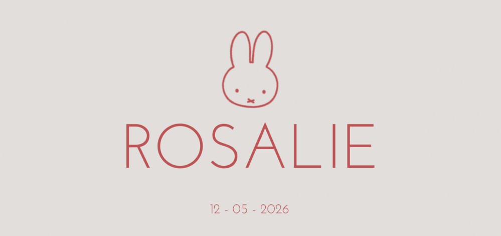 Geboortekaartje nijntje minimalistisch rood roze Rosalie