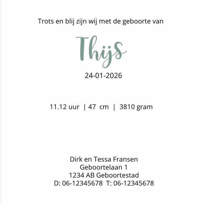 Geboortekaartje nijntje portret groen jongen Thijs