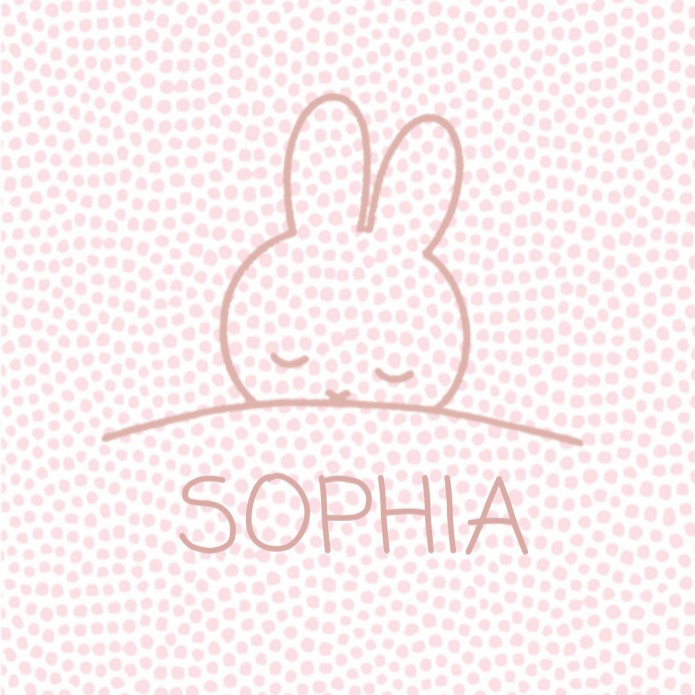 Geboortekaartje nijntje slapen roze lieve Sophia