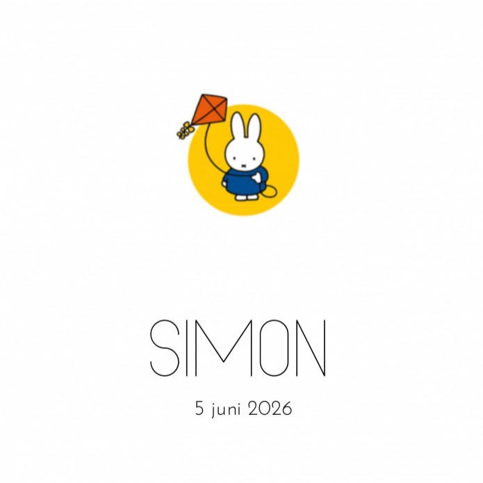 Geboortekaartje nijntje vlieger Simon
