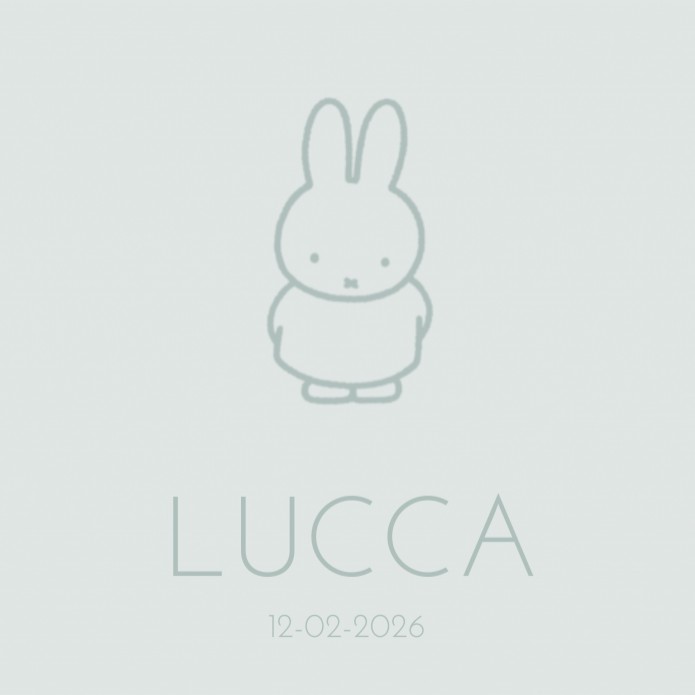Geboortekaartje nijntje zachtblauw Lucca