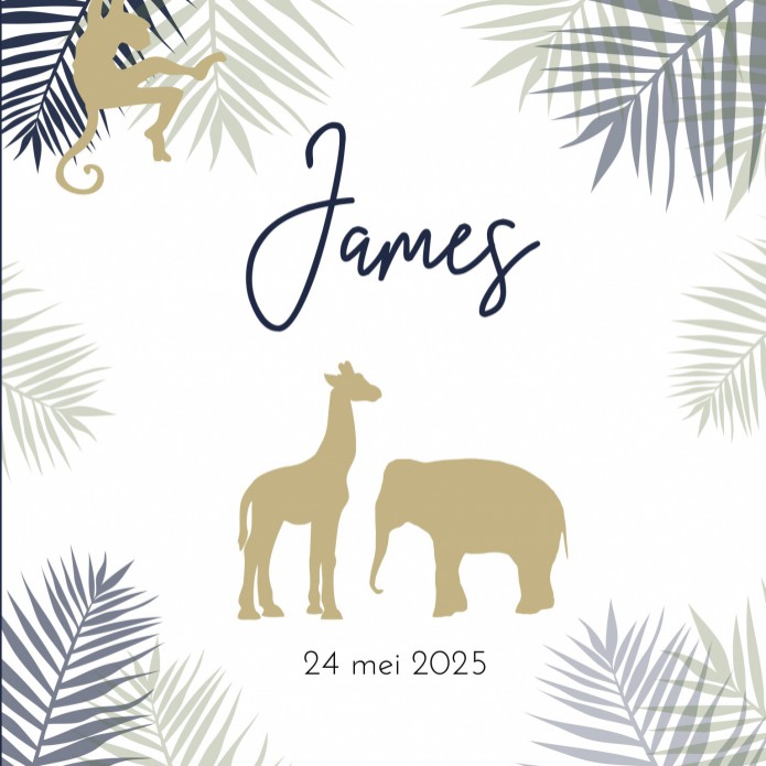 Geboortekaartje olifant giraffe silhouette James