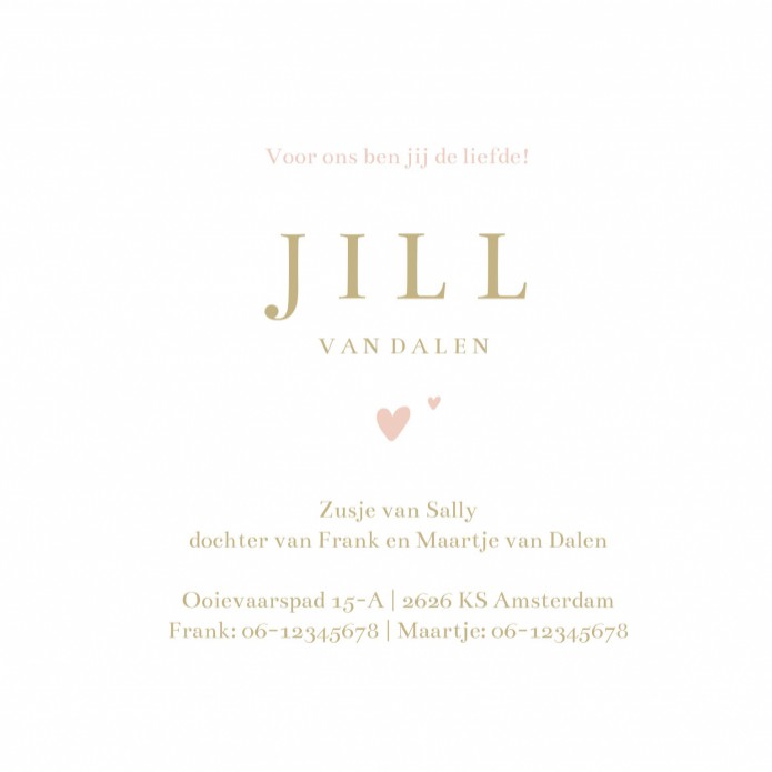 Geboortekaartje ooievaar wit Jill