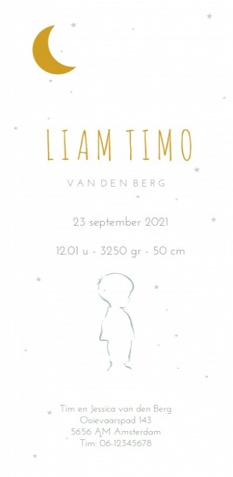 Geboortekaartje jongen silhouette blauw met goud Liam
