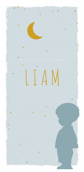 Geboortekaartje jongen silhouette blauw met goud Liam