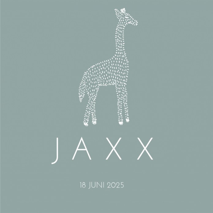 Geboortekaartje Dieren Giraffe Jaxx