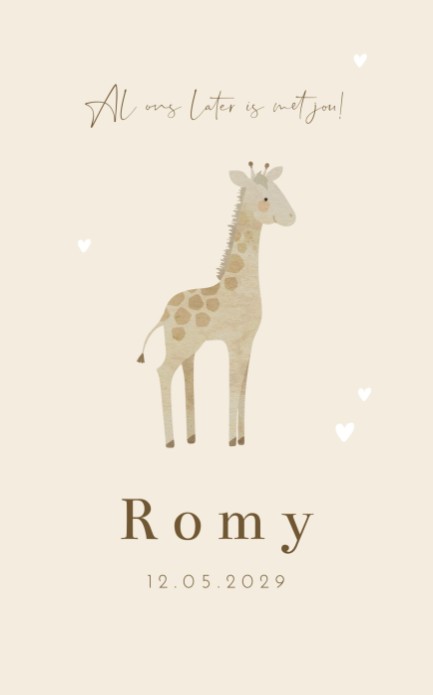 Geboortekaartje meisje giraffe Romy