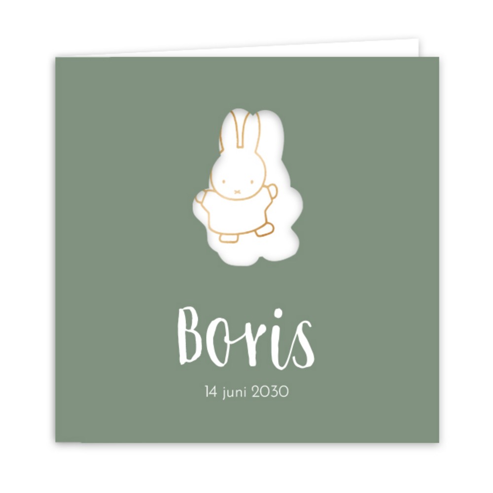 Geboortekaartje jongen nijntje doorkijk Boris