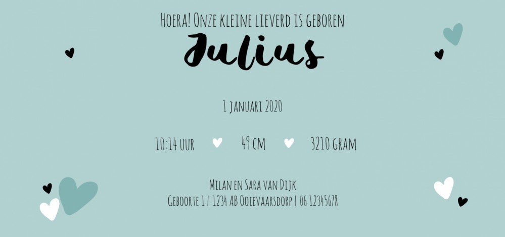 Geboortekaartje Hartjes Julius