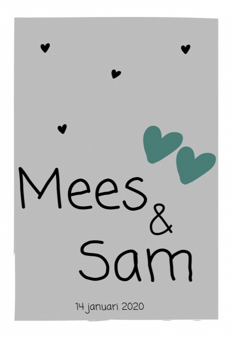 Geboortekaartje Hartjes Mees & Sam
