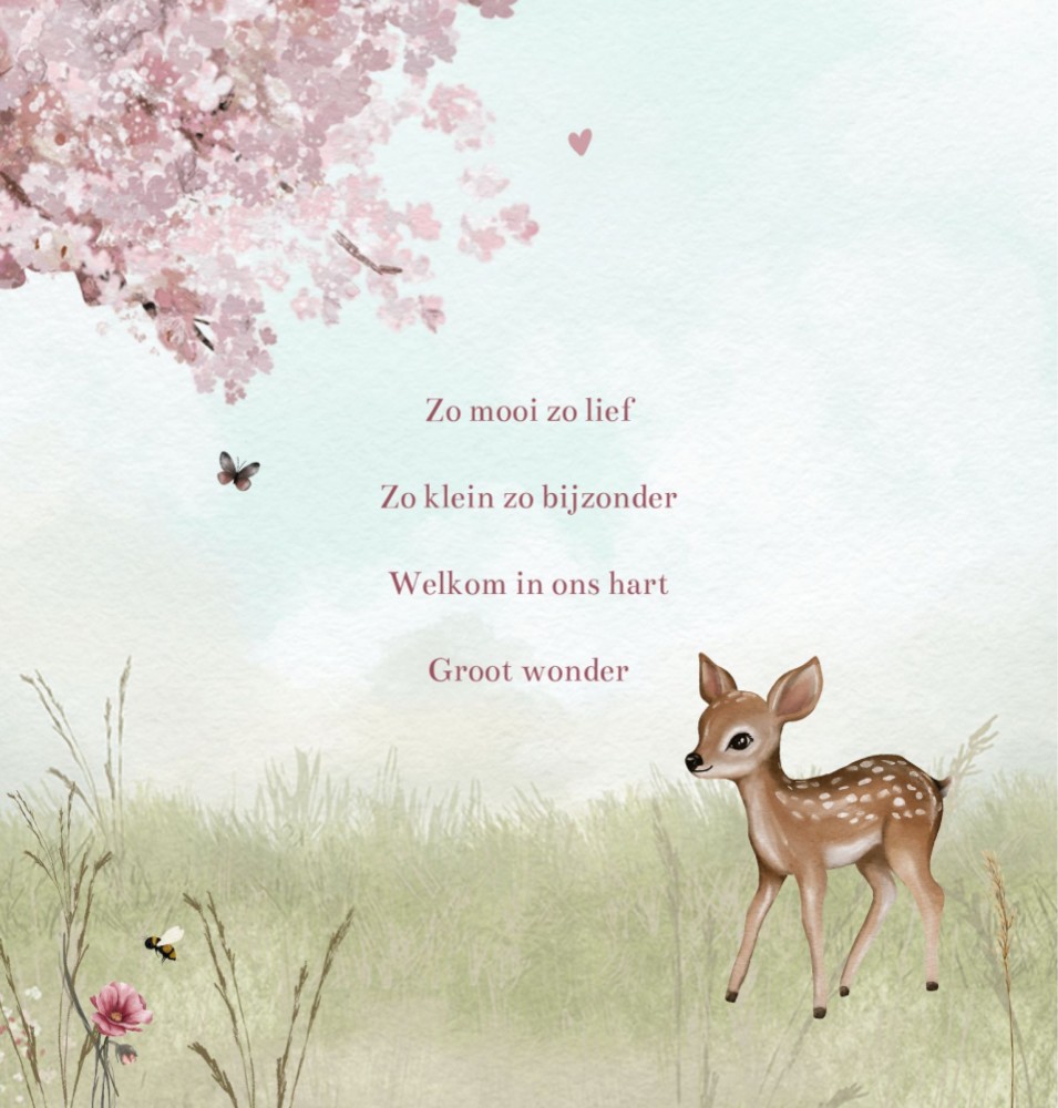 kaart binnenzijde links
