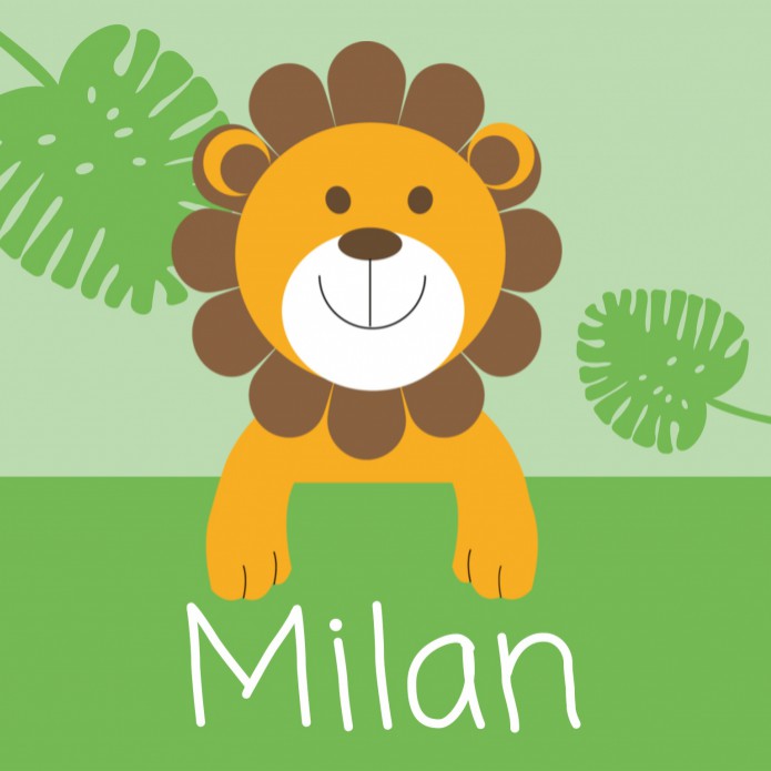 Geboortekaartje Leeuw Milan