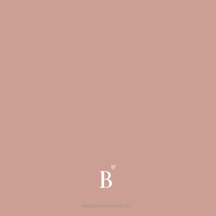 Geboortekaartje initialen unisex roze palm Bowie